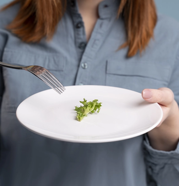 Ícone de dieta